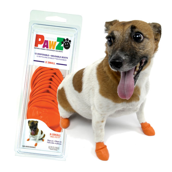 Pawz Hundsko 1st - 3