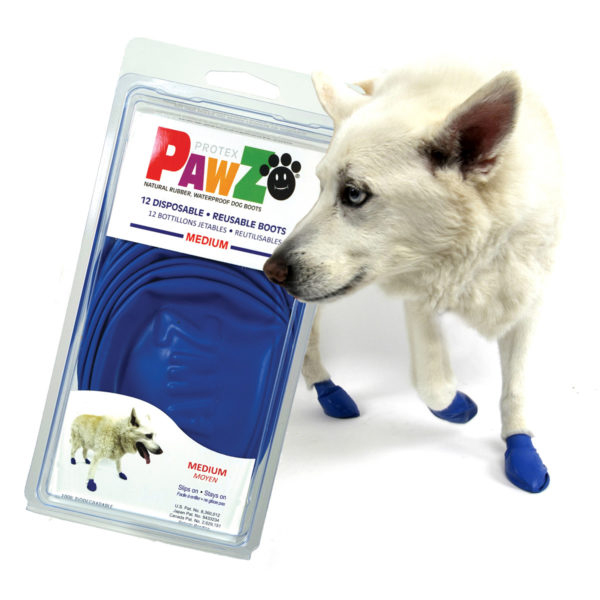 Pawz Hundsko 1st - 5