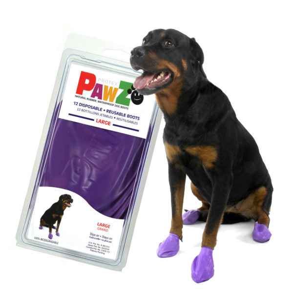 Pawz Hundsko 1st - 6