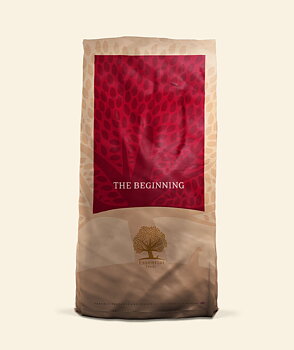 Essential Small Size The Beginning  2,5kg