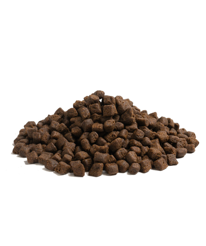 Essential Small Breed The Beginning 10 Kg - 2