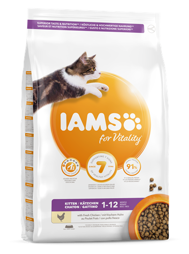 Iams Cat Kitten  3 kg