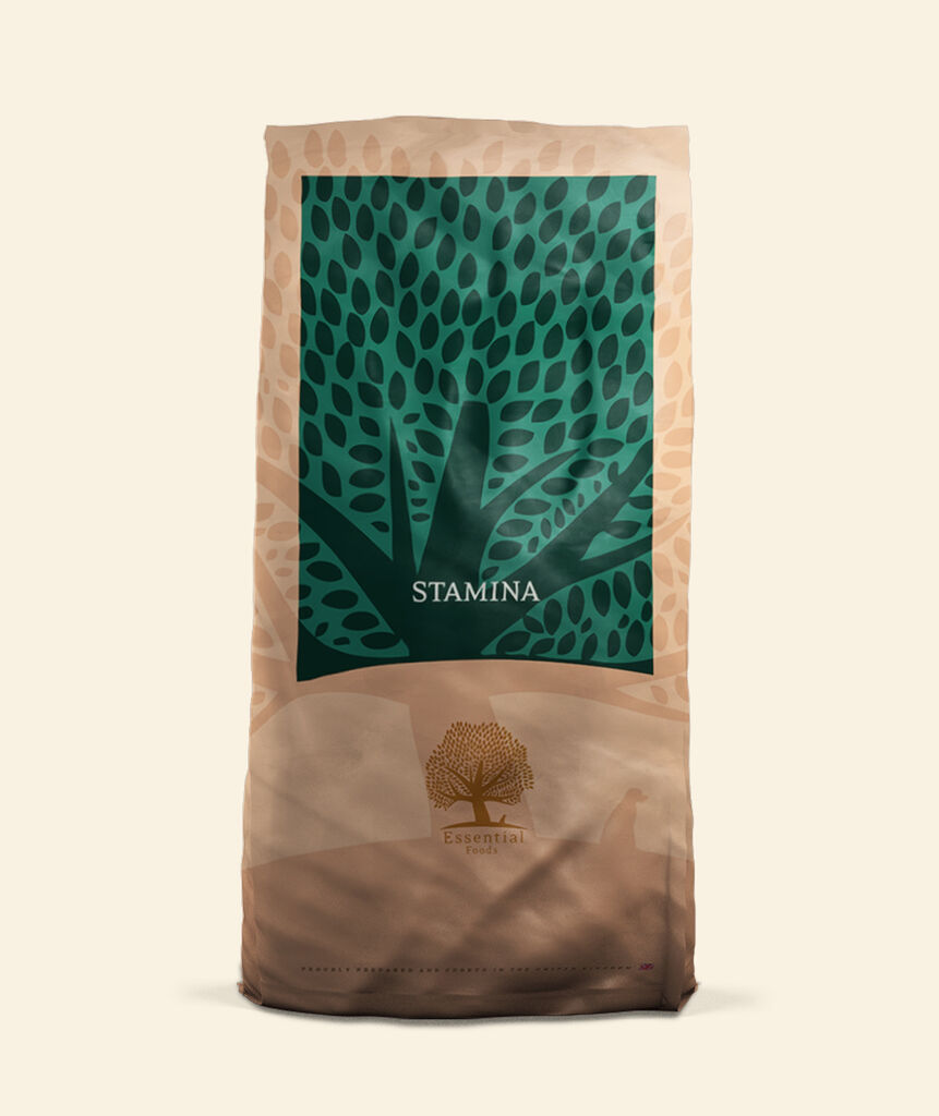 Essential Stamina 10Kg