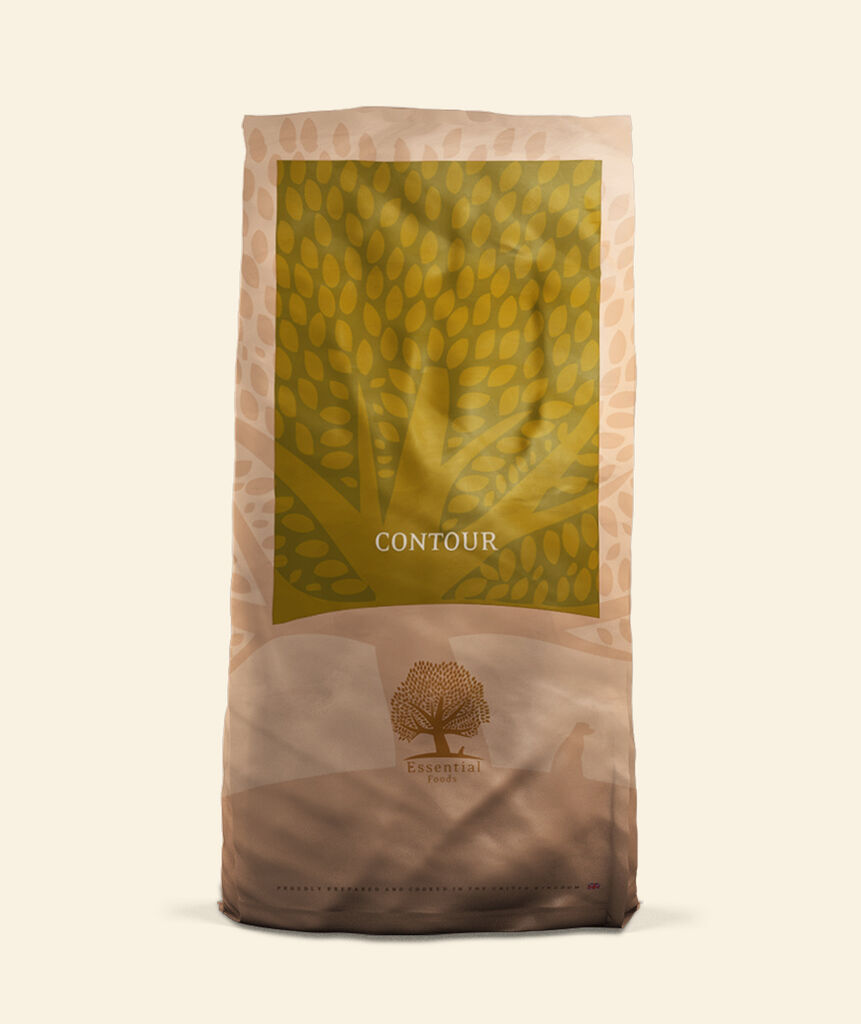 Essential Small Size Contour 2,5kg