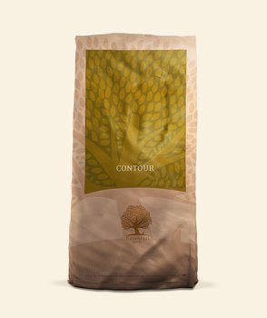 Essential Small Size Contour 2,5kg