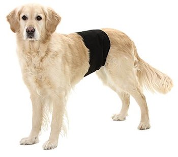 Karlie Kisskydd Hanhund 