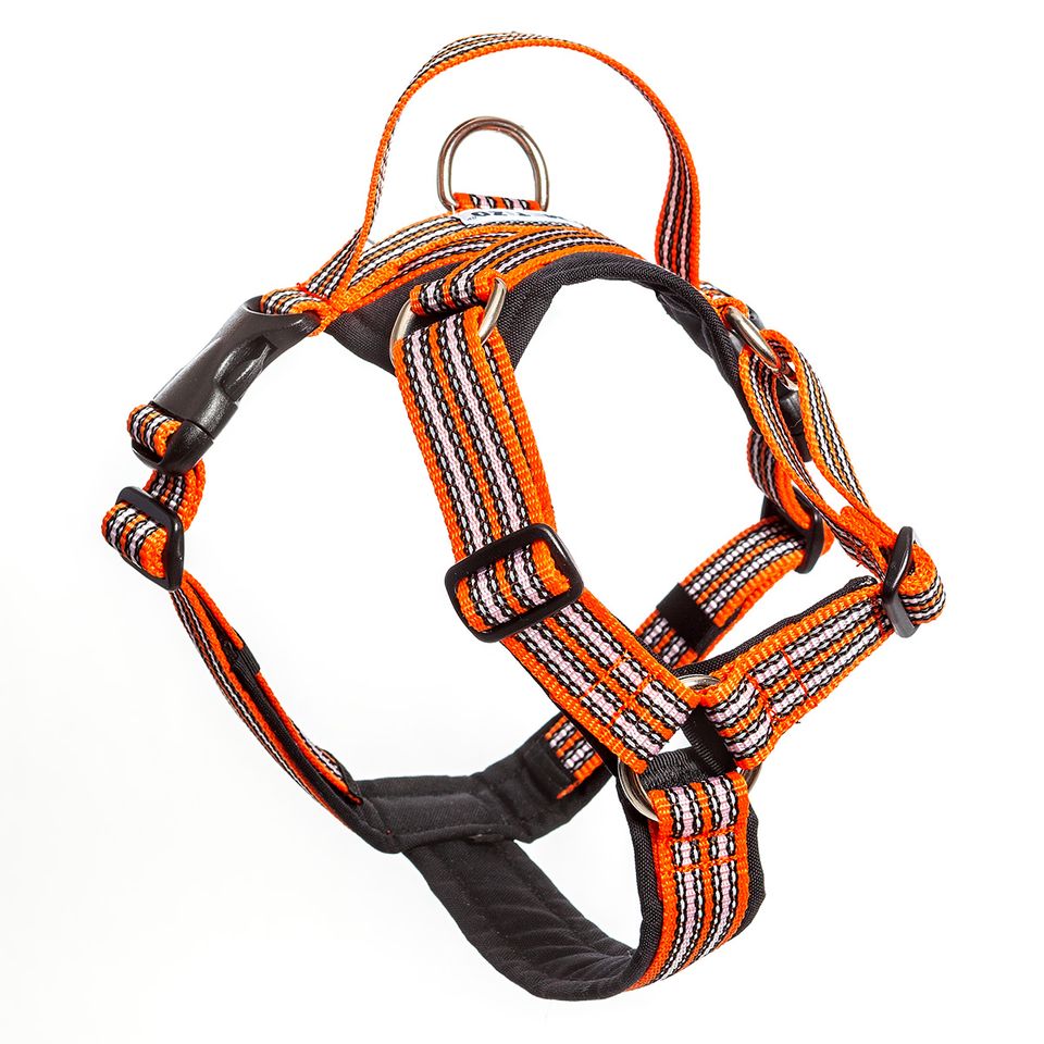Metizo Future Walking Orange