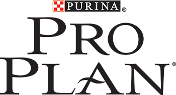 Pro Plan