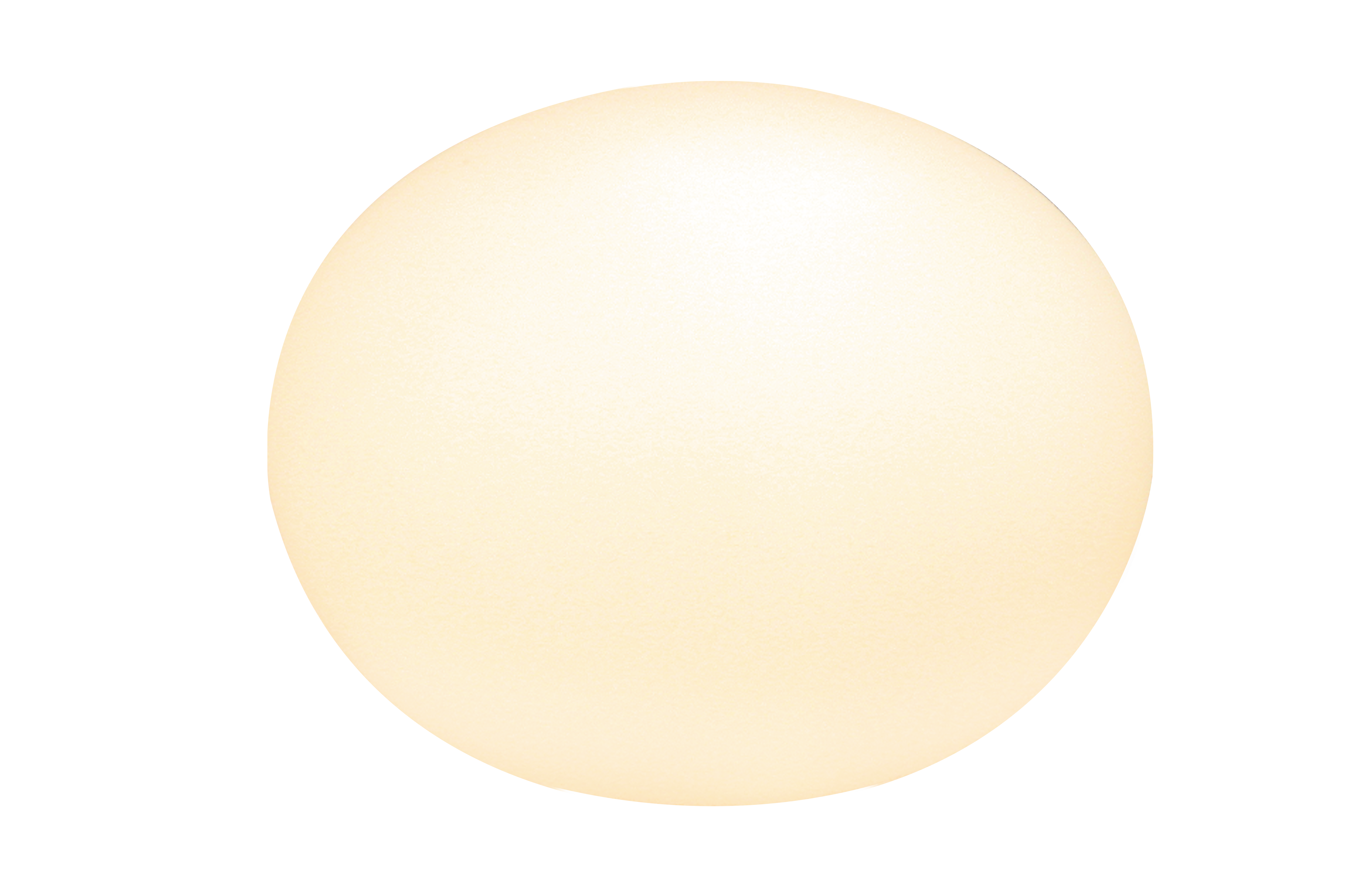 GLOBUS bordlampa 24cm, vit - Aneta Lighting - 3