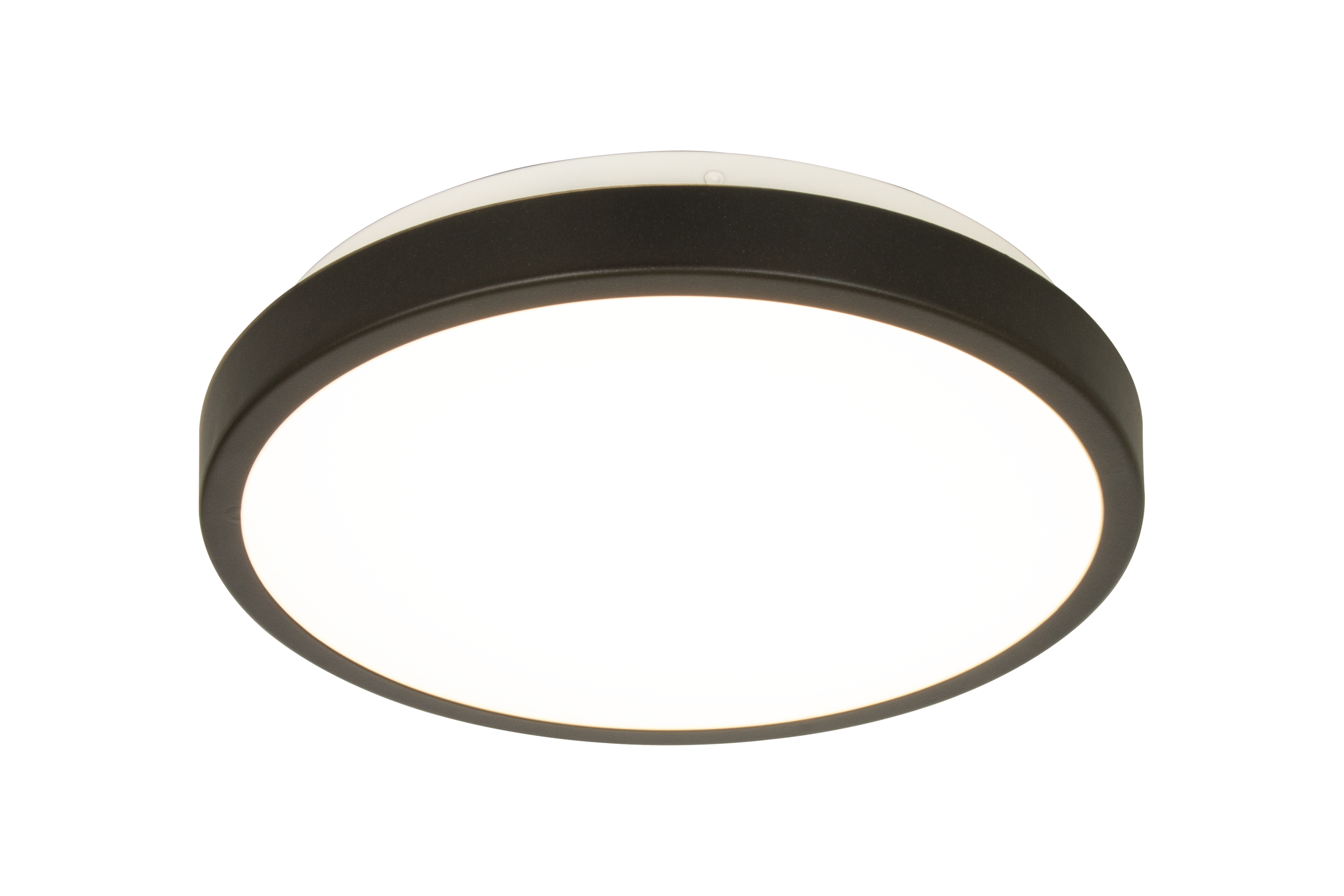 ANILLO plafond, svart - Aneta Lighting