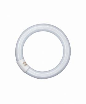 Osram Cirkellysrör L 22W / 827 C G10Q / EEK: G