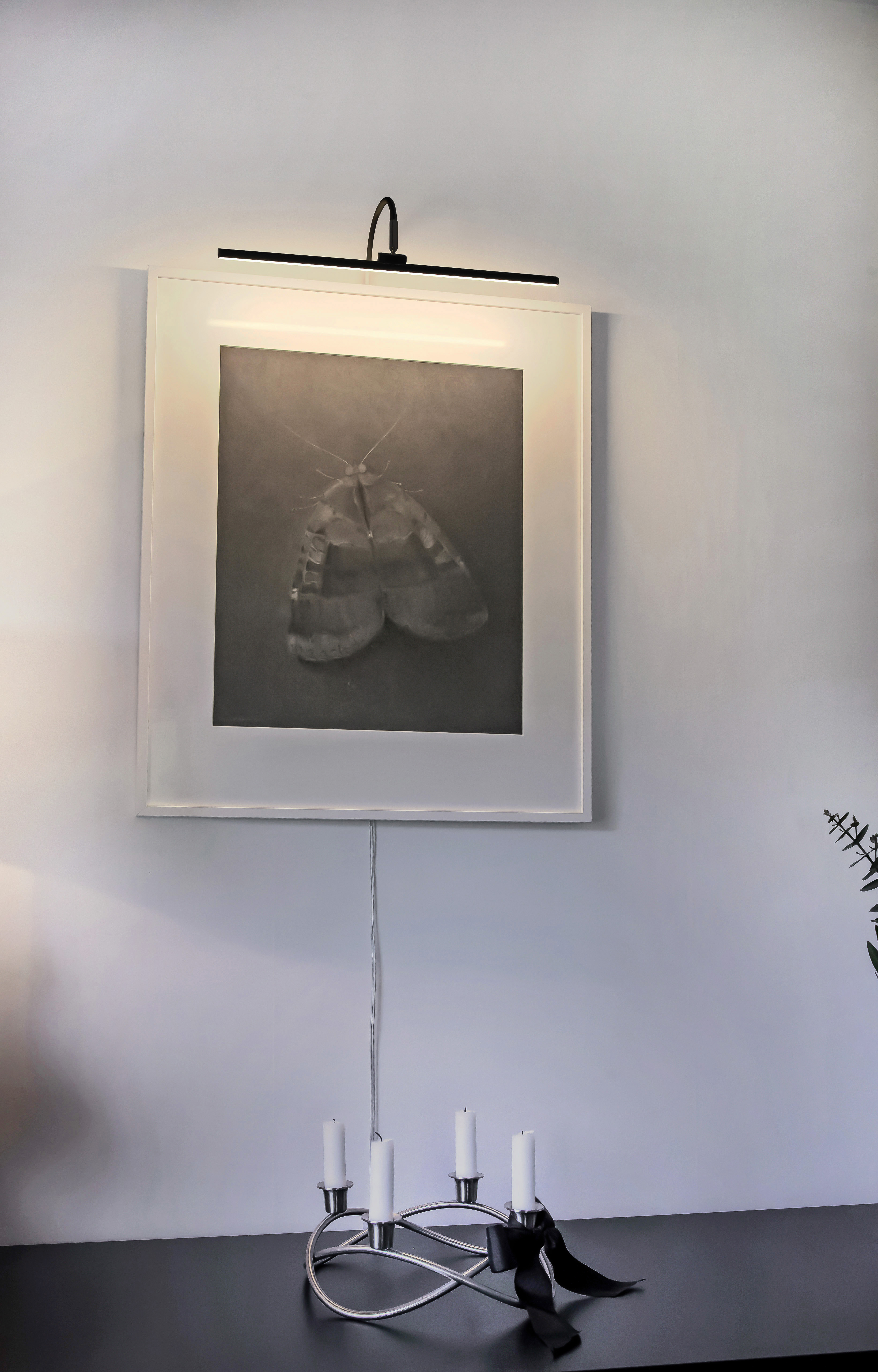 MIRO tavelbelysning dimbar, svart - Aneta Lighting - 2