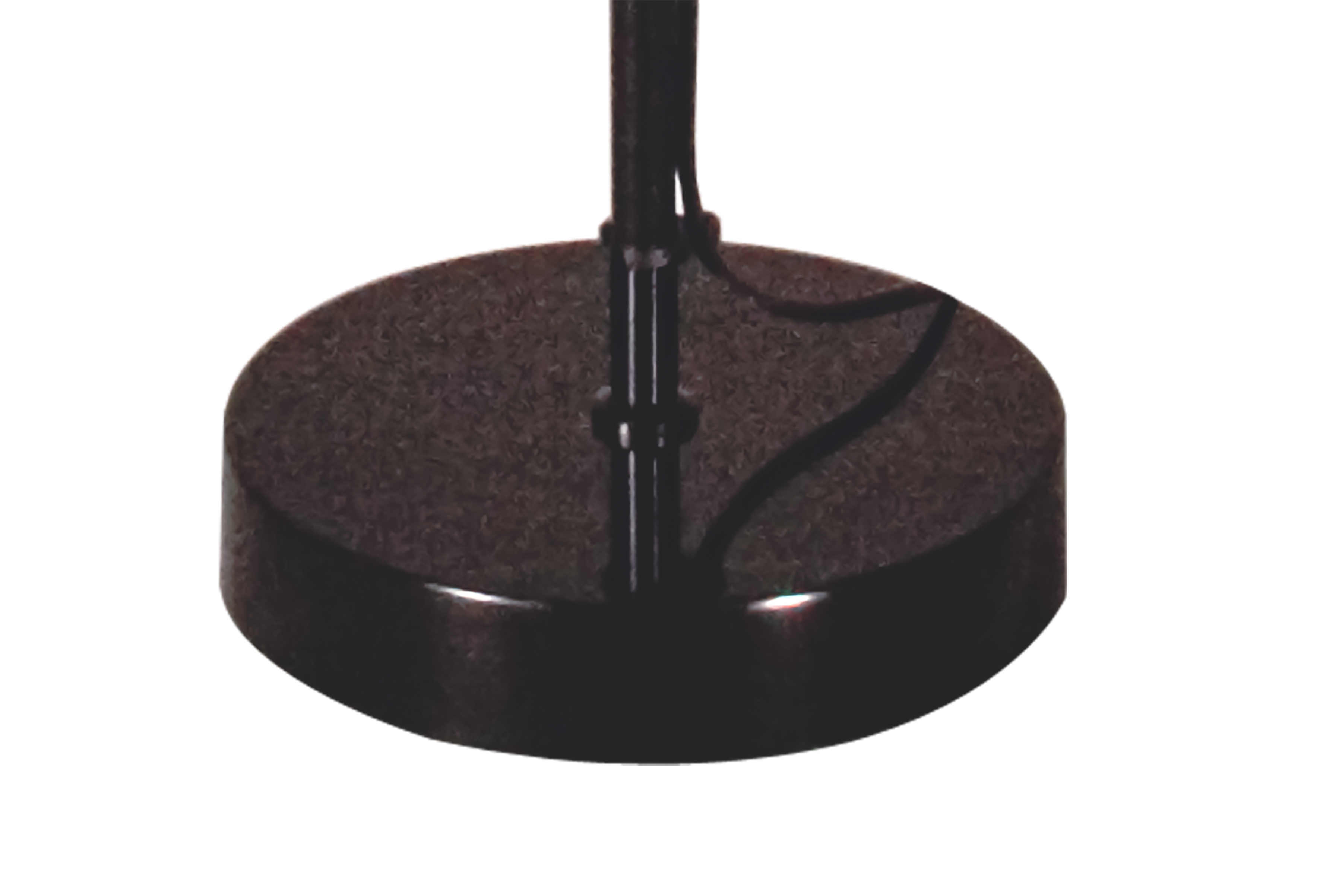 SAREK golvlampa, svart - Aneta Lighting - 4