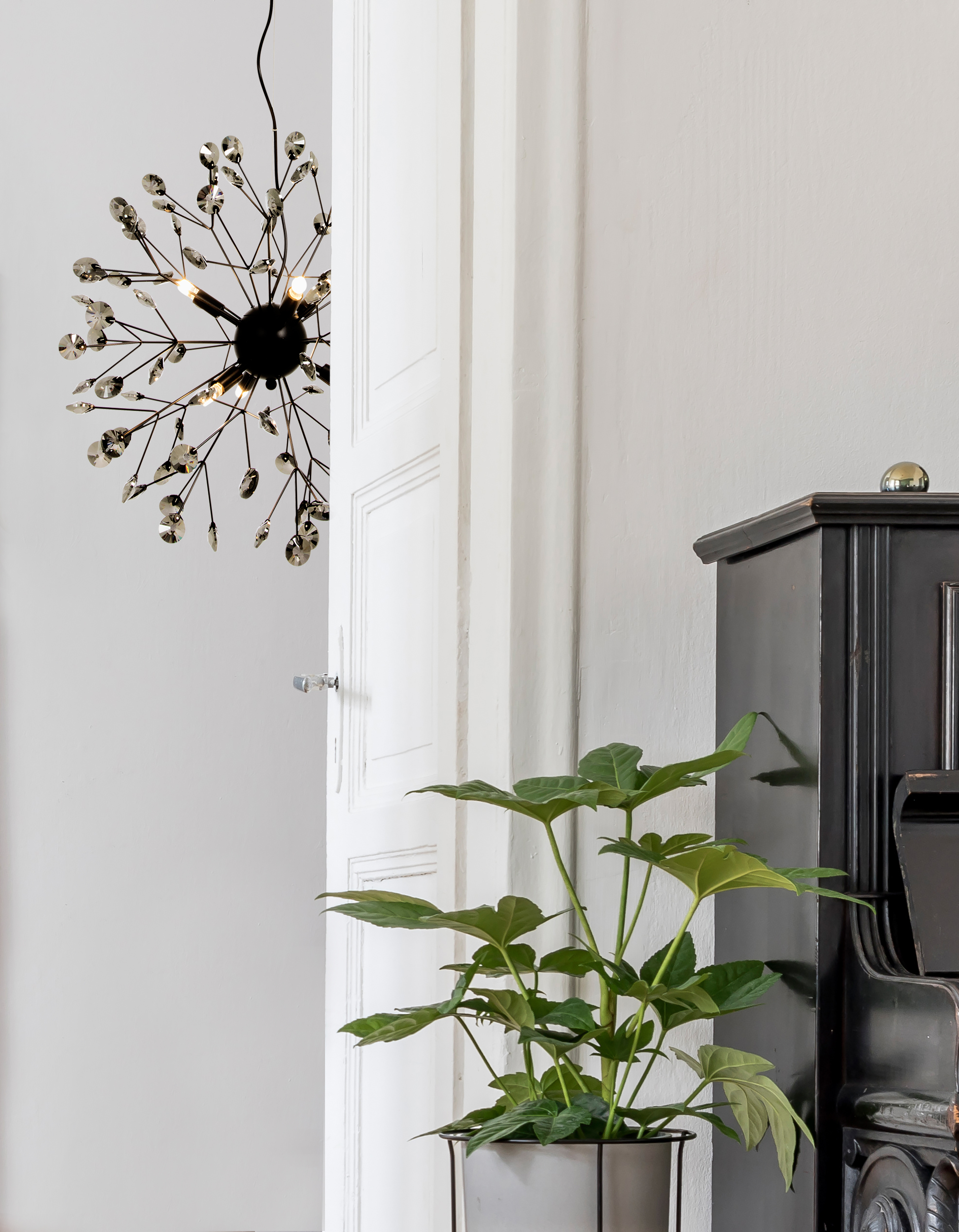 VIVA taklampa, svart - Aneta Lighting - 4