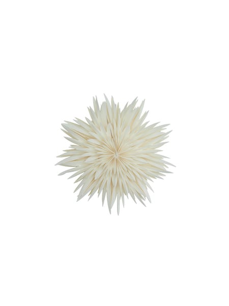 Maja 50 White - Watt & Veke - 3