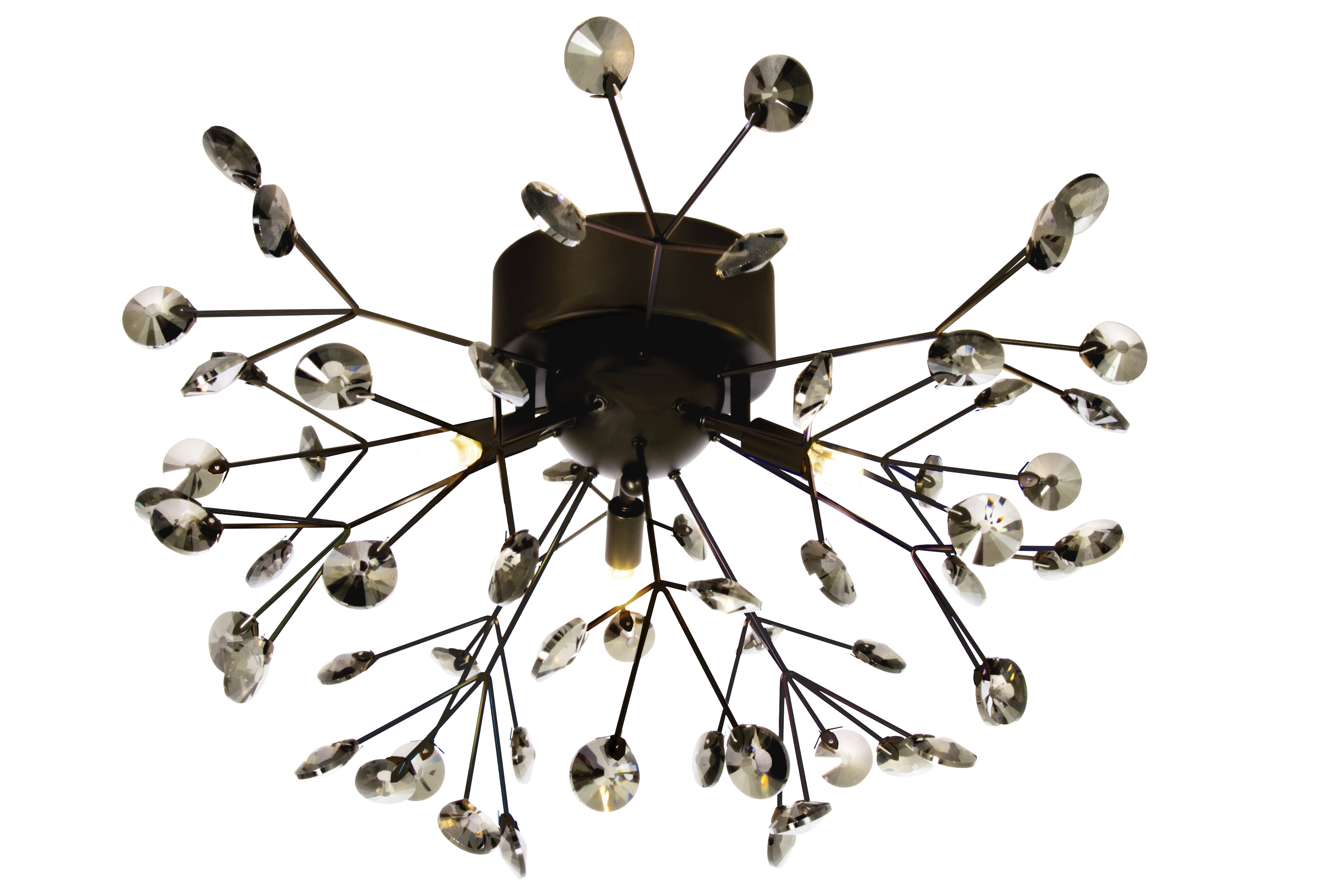 VIVA plafond, svart - Aneta Lighting - 2