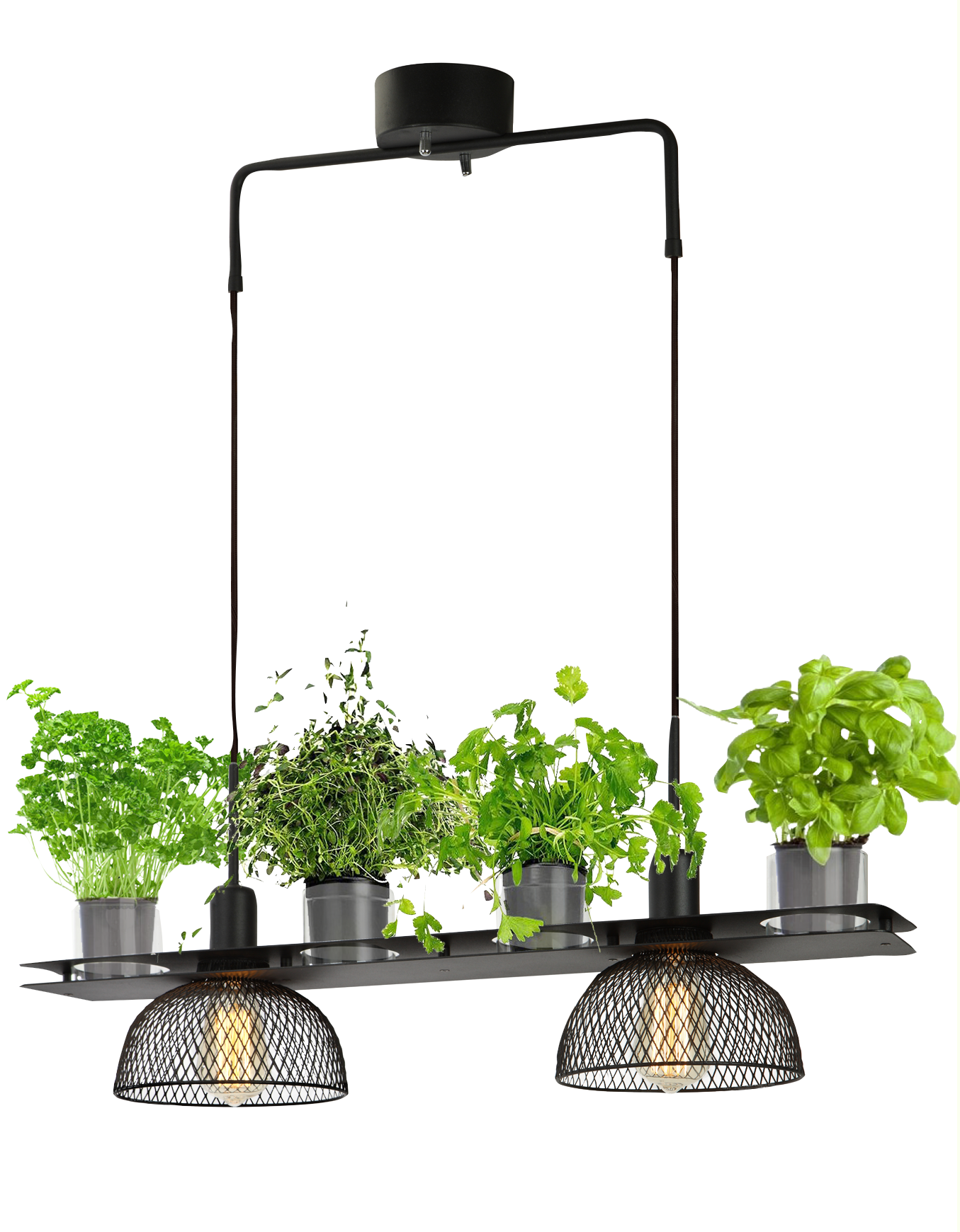 TIMJAN takl, svart - Aneta Lighting - 5