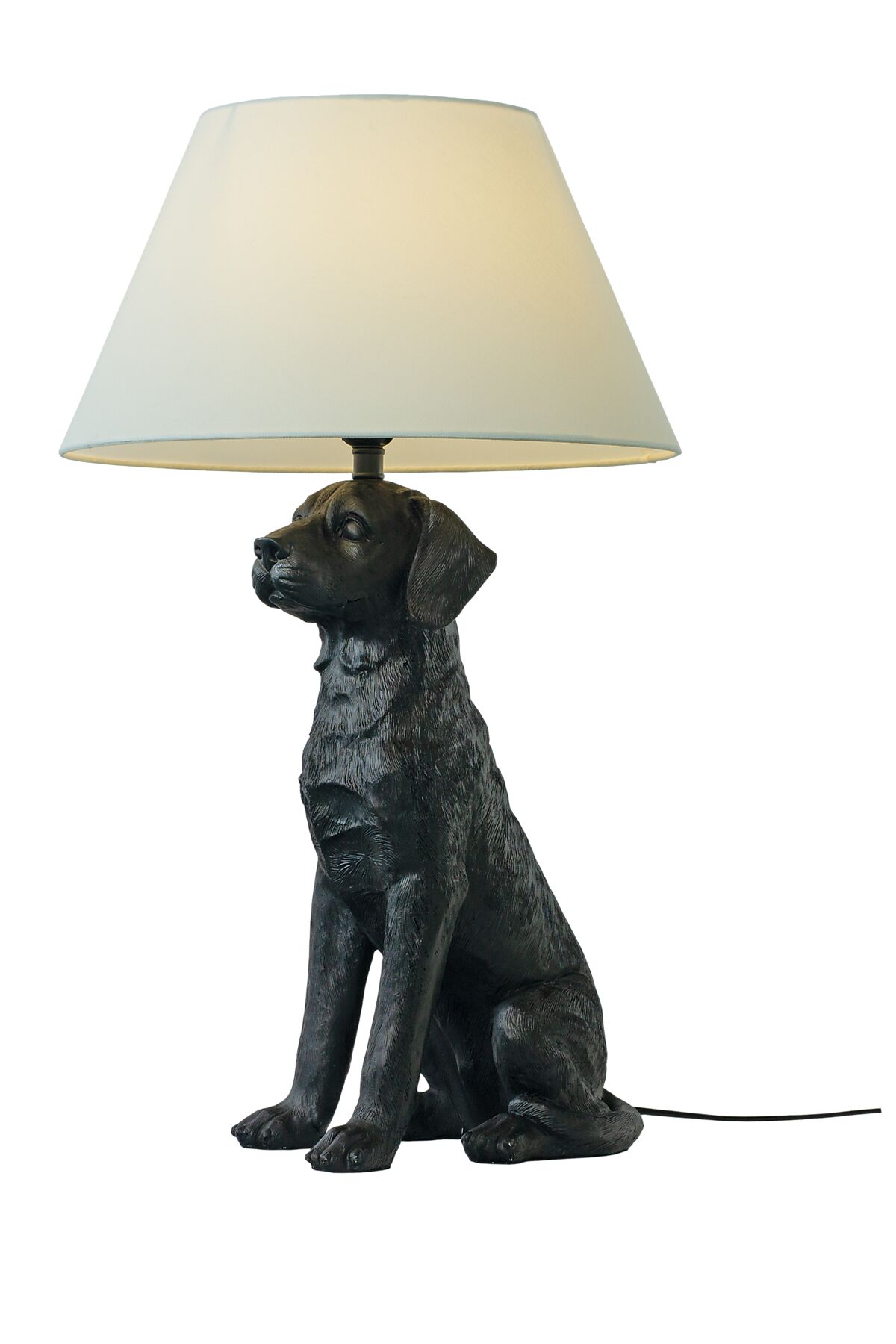 RETRIVER bordslampa - Aneta Lighting