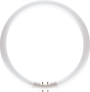 Philips Lysrör Master TL5 Circular 22W / 830 / EEK: G