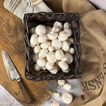 Färska champinjoner Liljenäs Gård, ca 3 kg. 