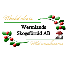 Blåbär Vildplockade 2,5kg FRYST - Wermlands Skogsförråd - 2