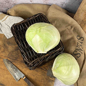 Vitkål Stockagården, lösvikt