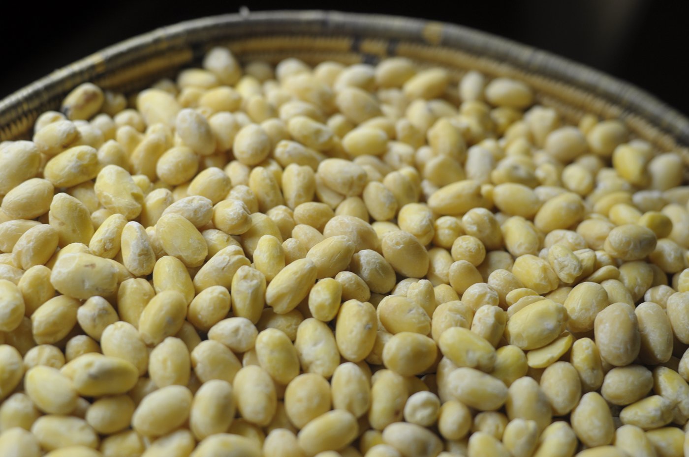 Favaböna KRAV 5 kg, Svensk Fava - 2