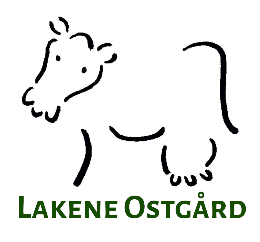 Lakene Ost Gammel Pär, bit om ca 350 g. - 2