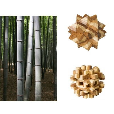 Bambu