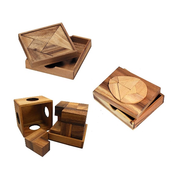 Figure Puzzle