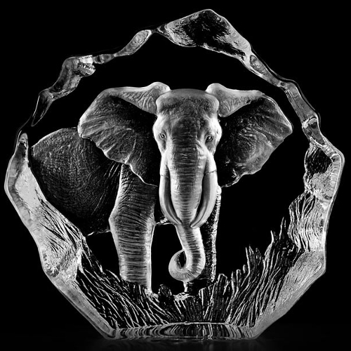 Mats Jonasson Målerås Wildlife Elefant