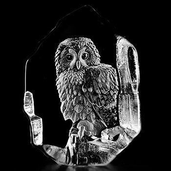 Mats Jonasson Målerås Wildlife Kattuggla