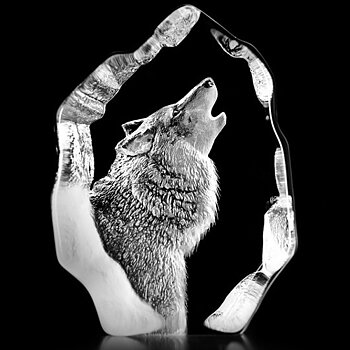 Mats Jonasson Målerås Wildlife Varg