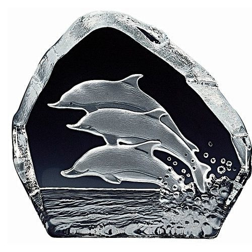 Nybro Crystal Delfiner