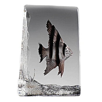 Nybro Crystal Skalar