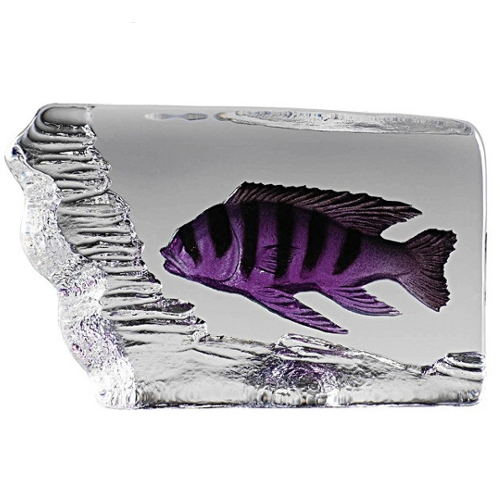 Nybro Crystal Malawi