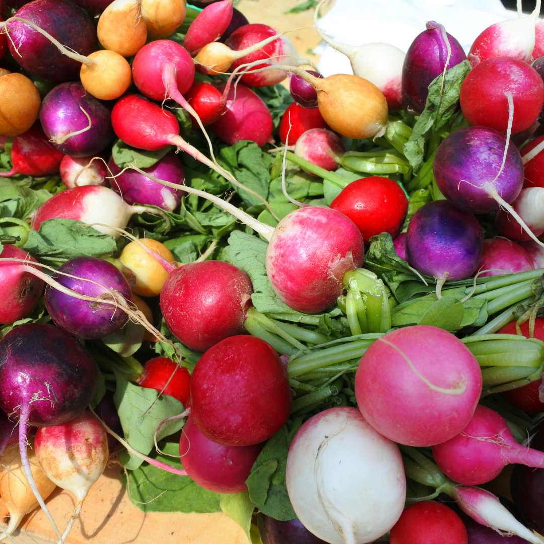 Rädisa - Regnbågsmix