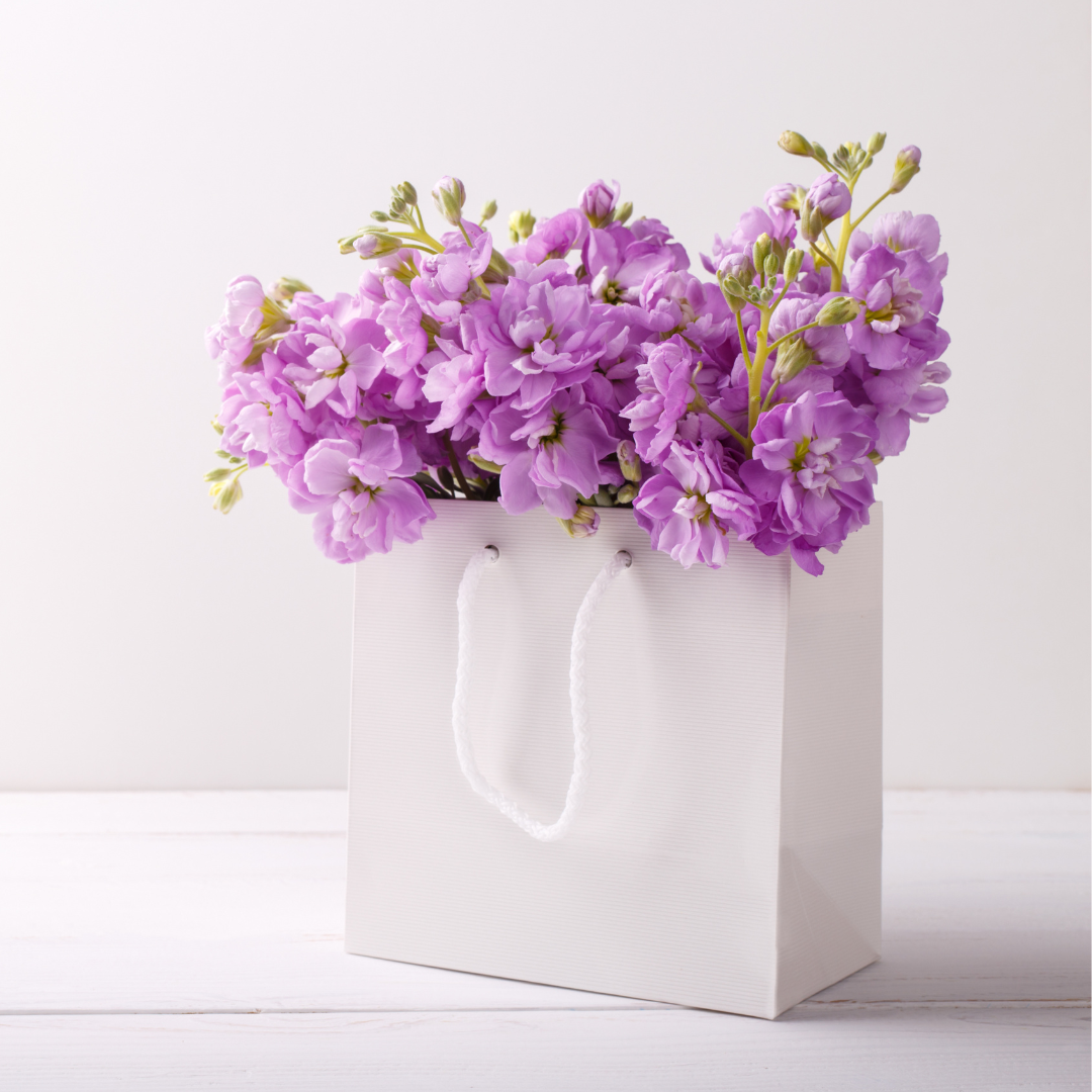 Sommarlövkoja - Pacific Blue