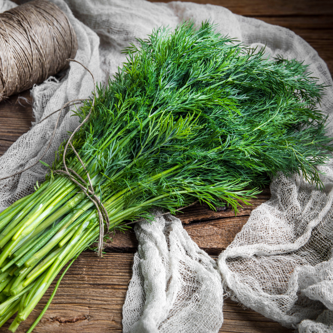 Dill - Bouquet