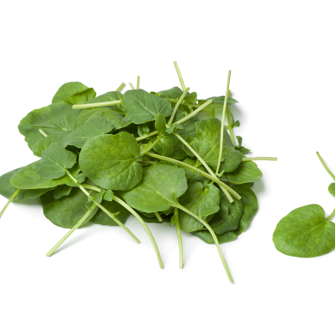 Vinterkrasse - Vårgyllen