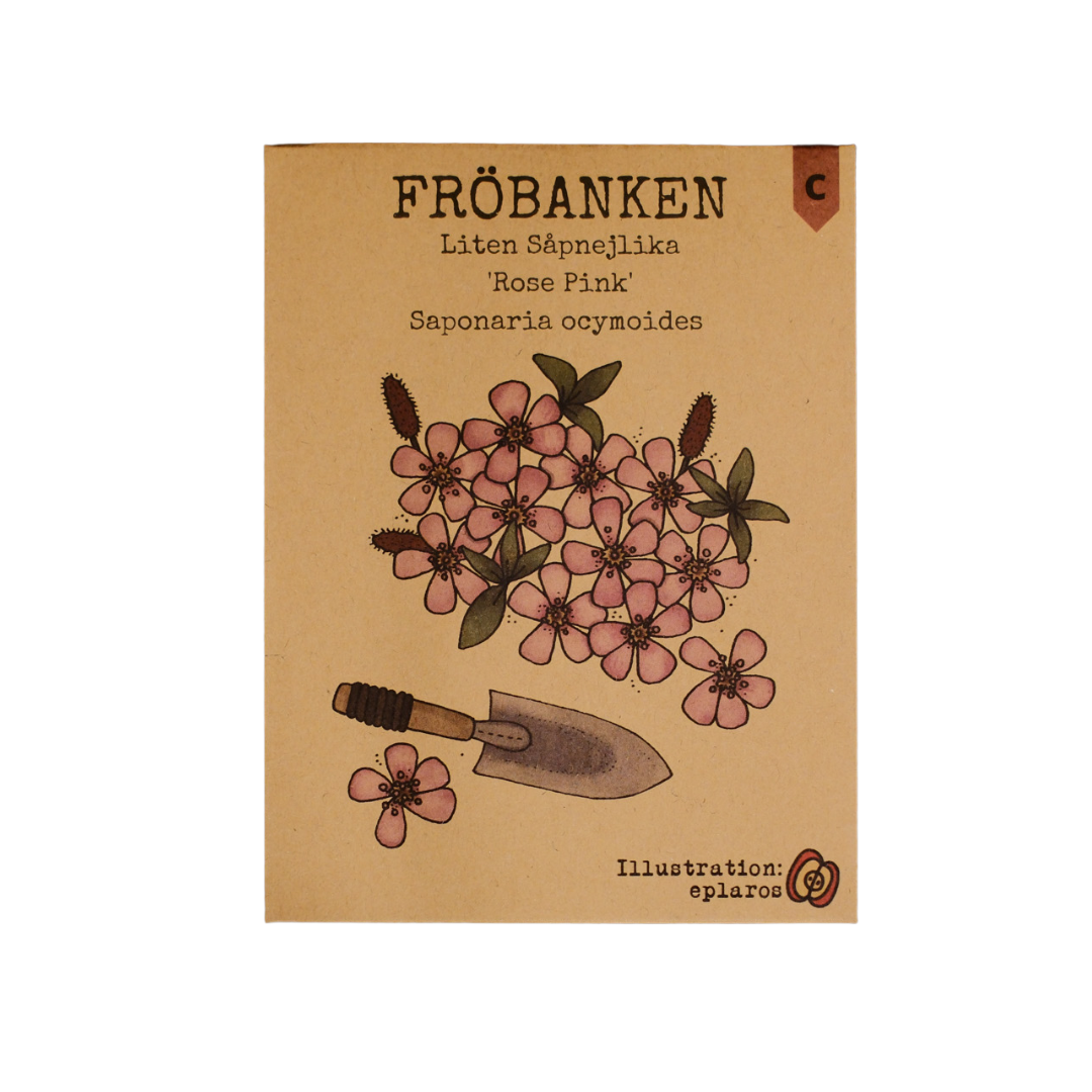 Liten Såpnejlika - Rose Pink