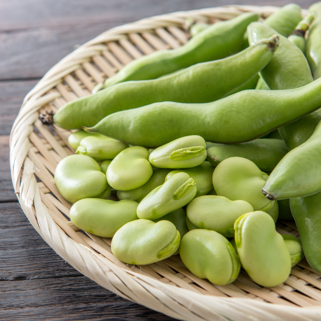 Ekologisk Bondböna - Superaquadulce