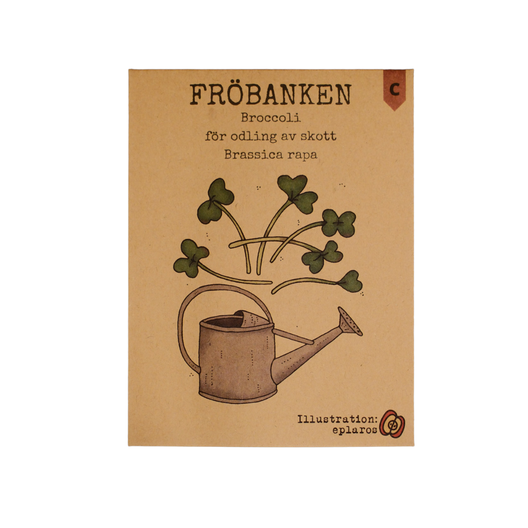 Broccoli för odling av skott - 2