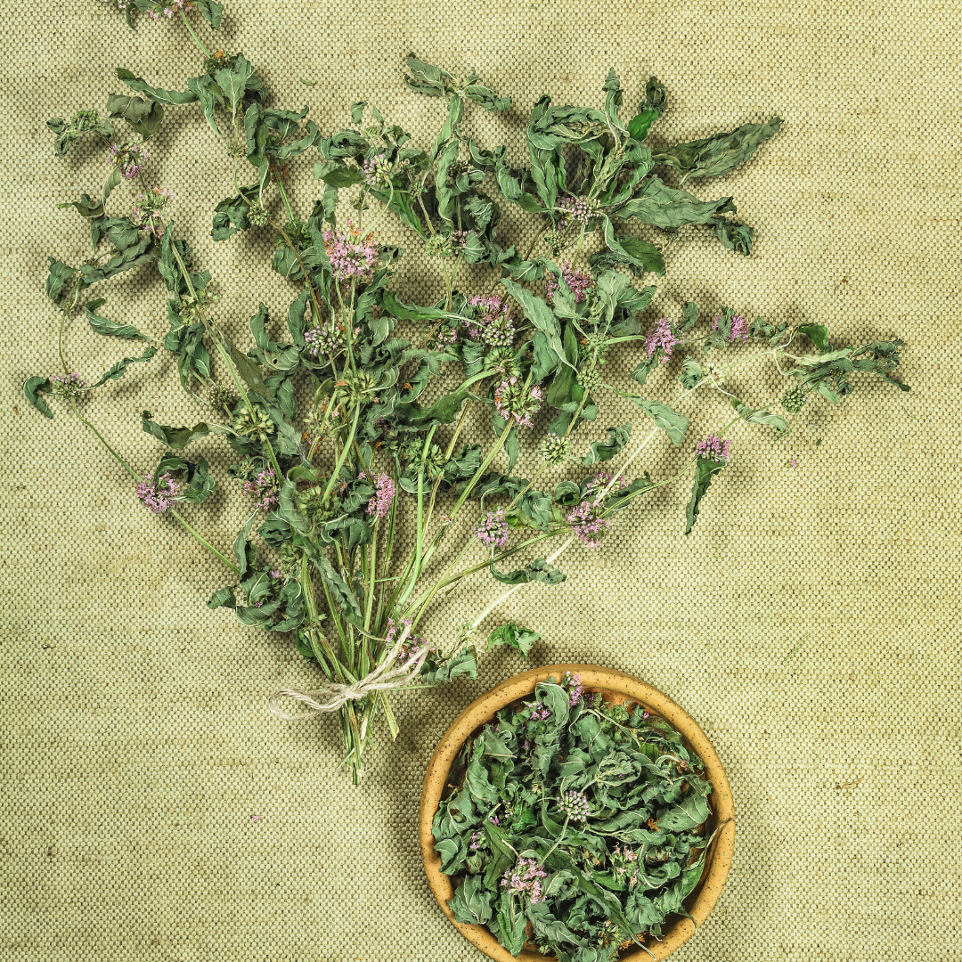 REA! Grönmynta - Spearmint
