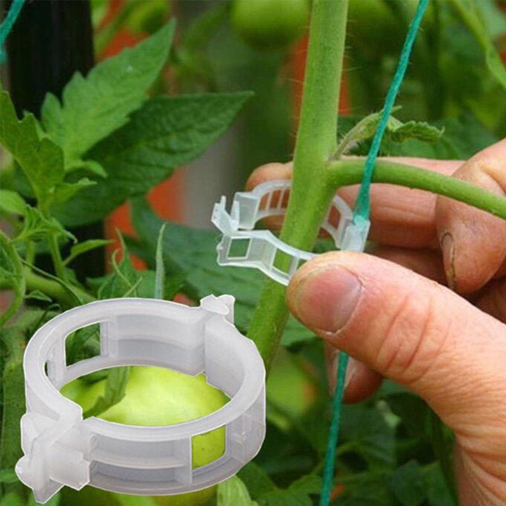 Uppbindare för plantor - Tomatclips - 50 st