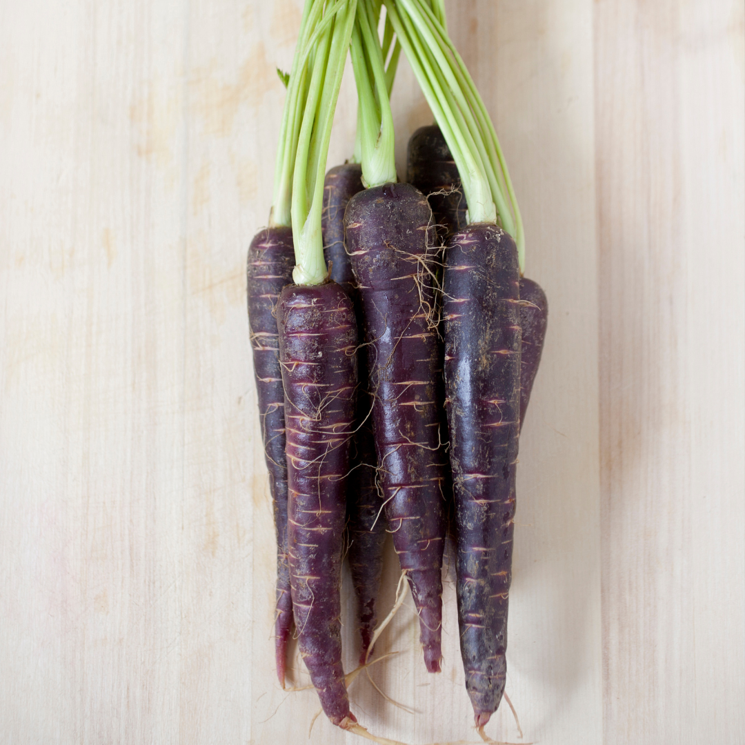 Ekologisk Morot - Gniff - Kultursort