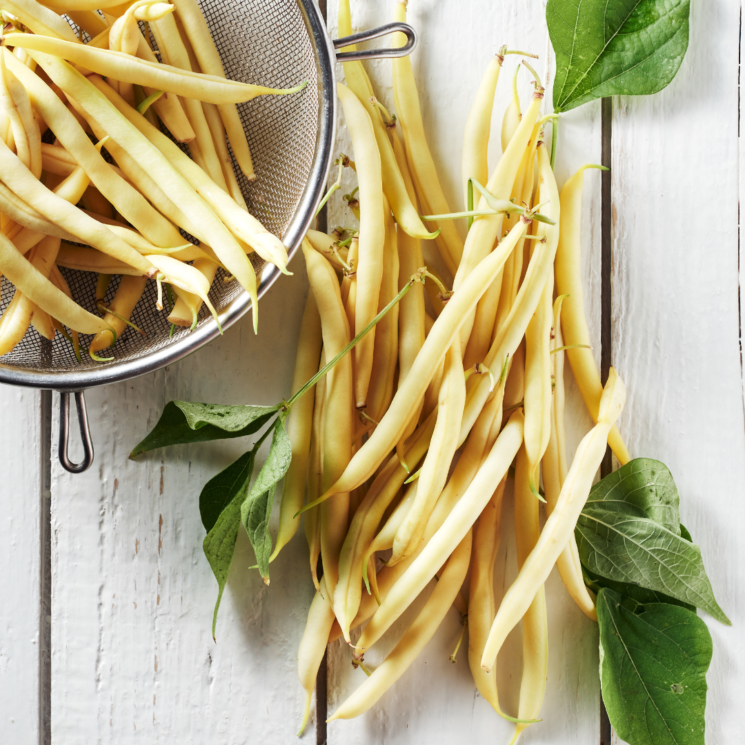 Vaxböna - Brittle Wax - Kultursort