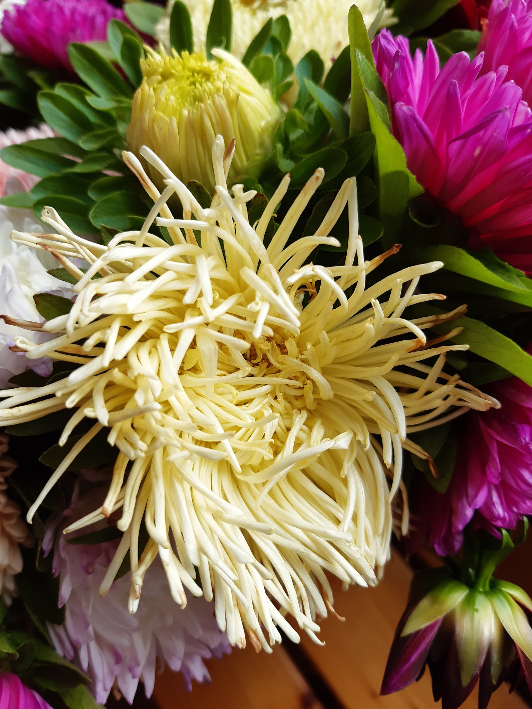 Sommaraster - Ostrich Feather Mix