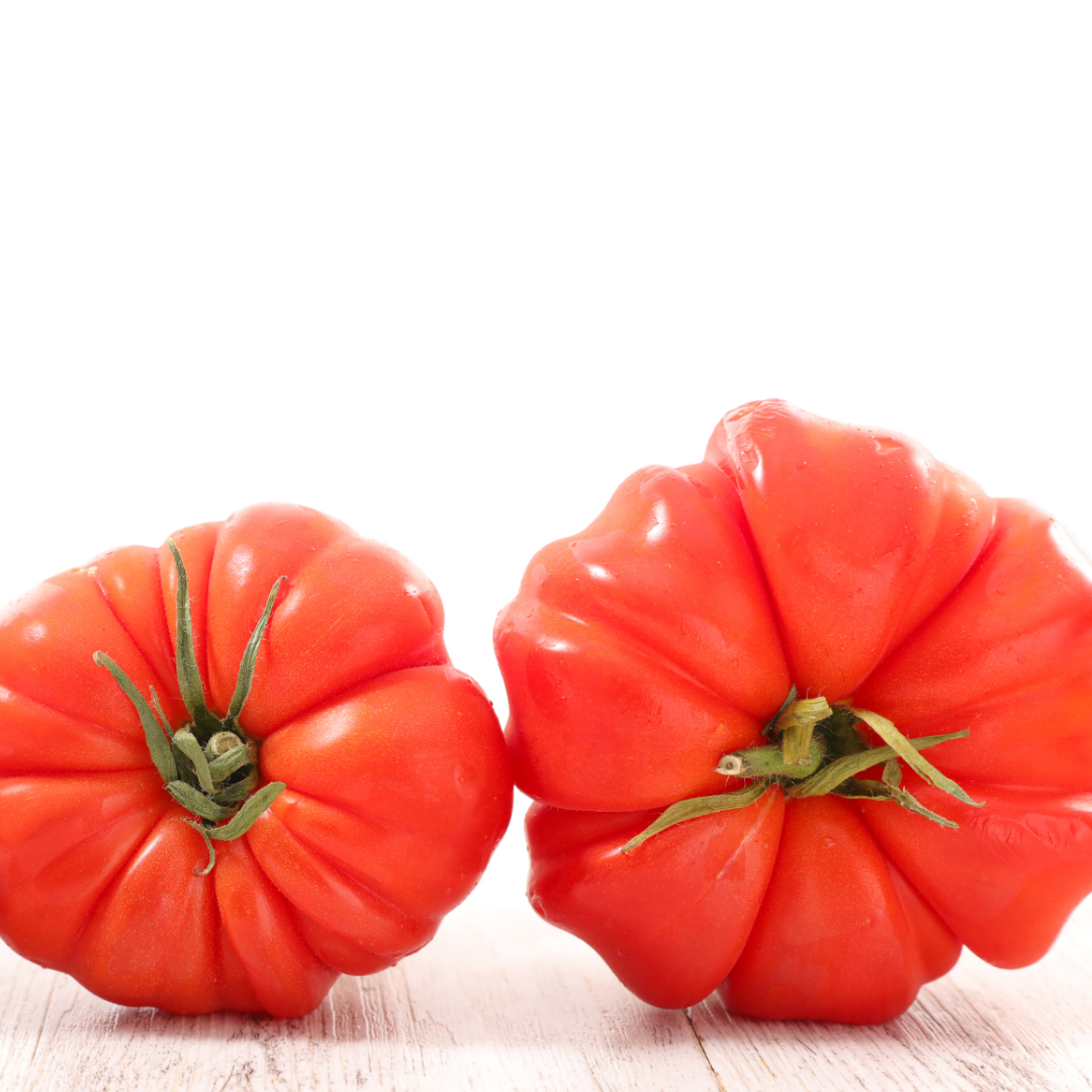 Ekologisk Bifftomat - Gezahnte Buhrer Keel