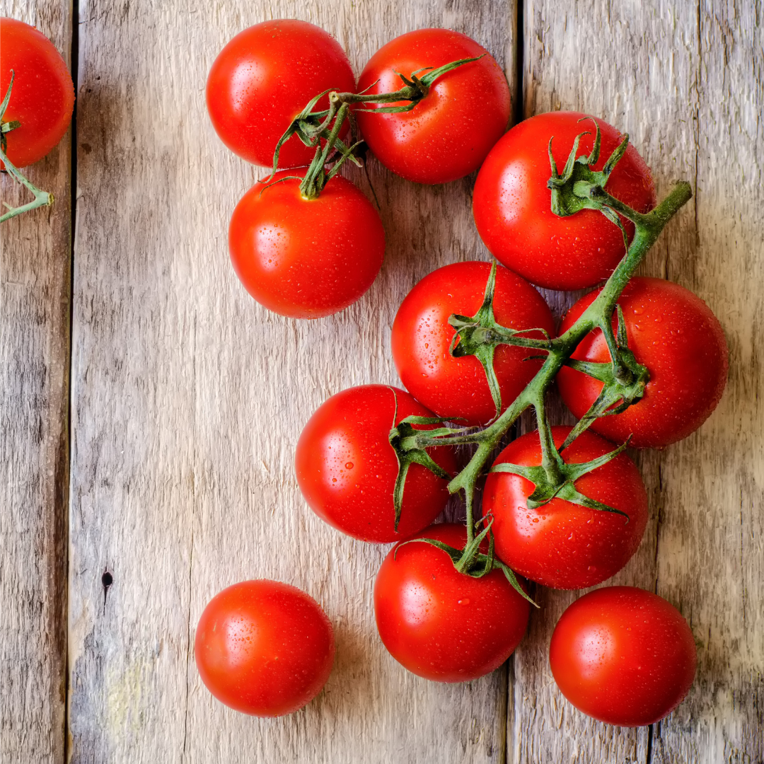 Ekologisk Körsbärstomat - Zuckertraube